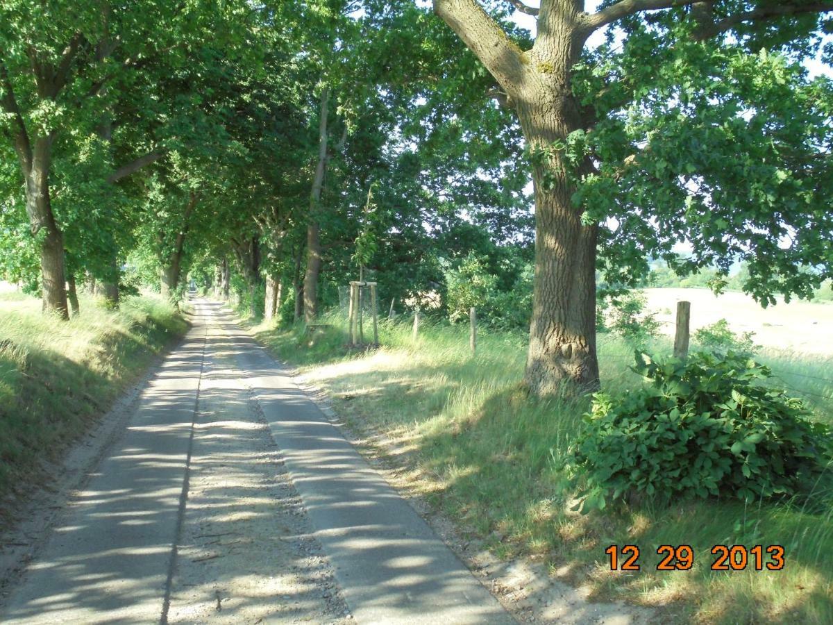 Landhaus Fischersruh Plauer See Alt Schwerin Bagian luar foto